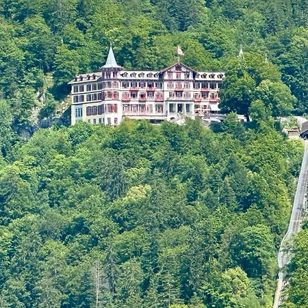 Panorama Apartment